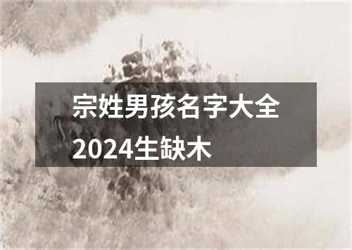 宗姓男孩名字大全2024生缺木