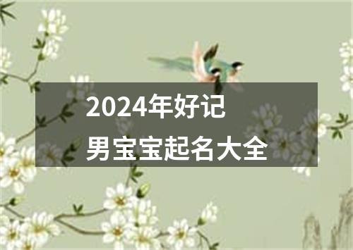 2024年好记男宝宝起名大全