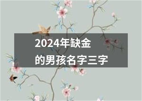 2024年缺金的男孩名字三字