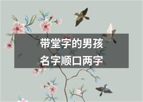 带堂字的男孩名字顺口两字