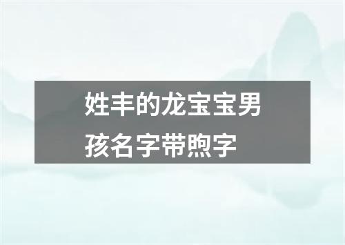 姓丰的龙宝宝男孩名字带煦字