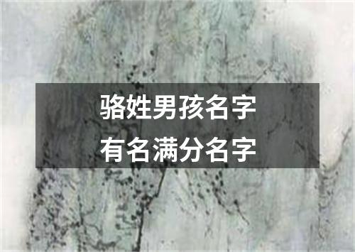 骆姓男孩名字有名满分名字