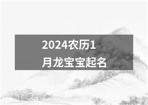 2024农历1月龙宝宝起名