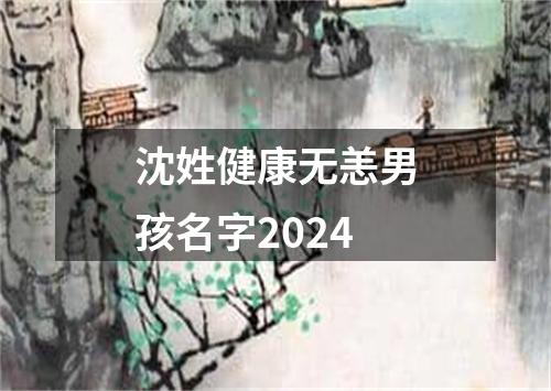 沈姓健康无恙男孩名字2024