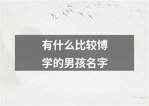 有什么比较博学的男孩名字