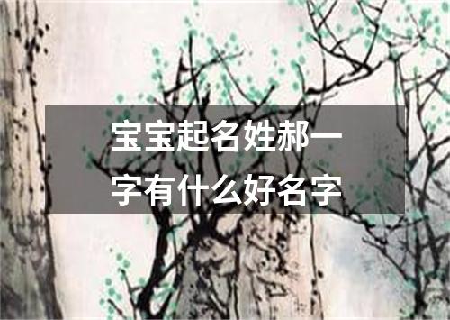 宝宝起名姓郝一字有什么好名字