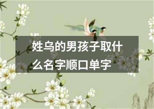 姓乌的男孩子取什么名字顺口单字