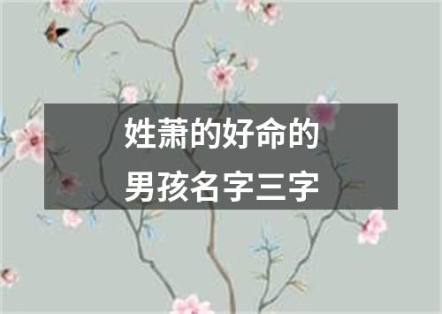 姓萧的好命的男孩名字三字