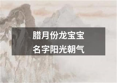 腊月份龙宝宝名字阳光朝气