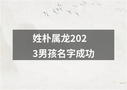 姓朴属龙2023男孩名字成功