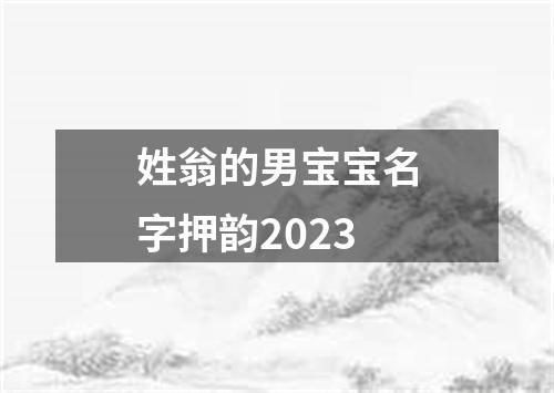 姓翁的男宝宝名字押韵2023