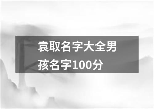 袁取名字大全男孩名字100分