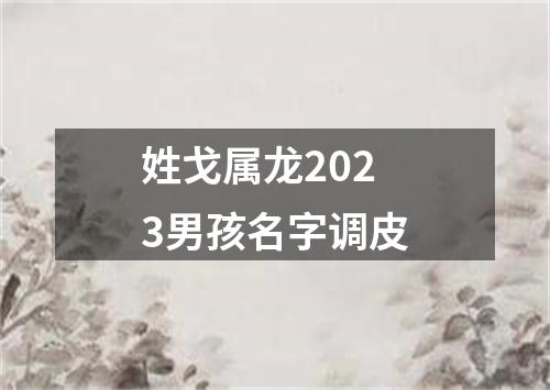 姓戈属龙2023男孩名字调皮