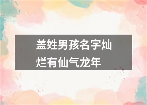 盖姓男孩名字灿烂有仙气龙年