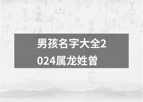 男孩名字大全2024属龙姓曾