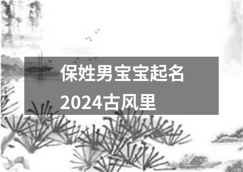 保姓男宝宝起名2024古风里