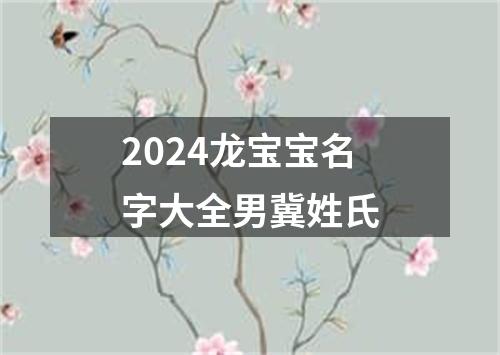 2024龙宝宝名字大全男冀姓氏