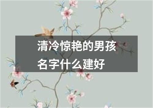 清冷惊艳的男孩名字什么建好