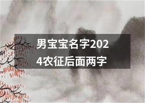 男宝宝名字2024农征后面两字