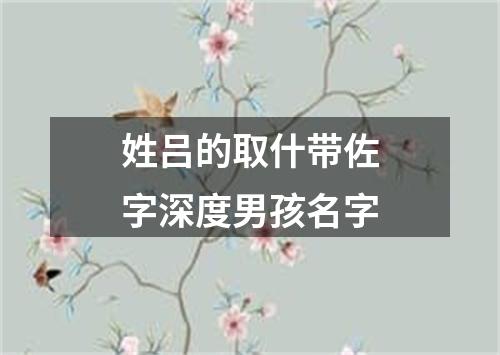 姓吕的取什带佐字深度男孩名字