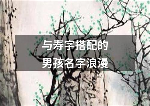 与寿字搭配的男孩名字浪漫