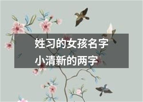 姓习的女孩名字小清新的两字