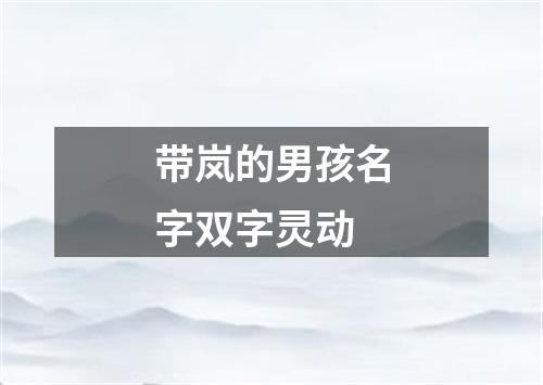 带岚的男孩名字双字灵动