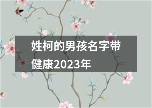 姓柯的男孩名字带健康2023年