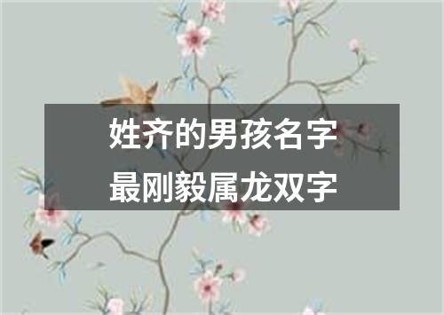 姓齐的男孩名字最刚毅属龙双字