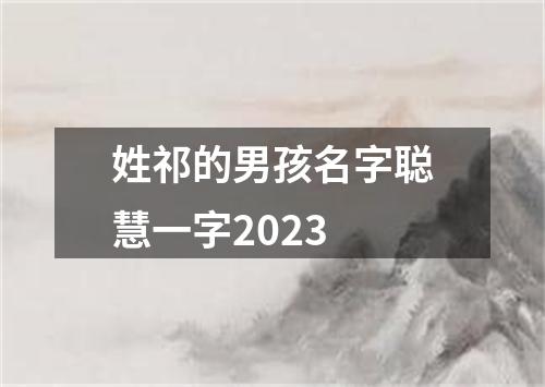 姓祁的男孩名字聪慧一字2023