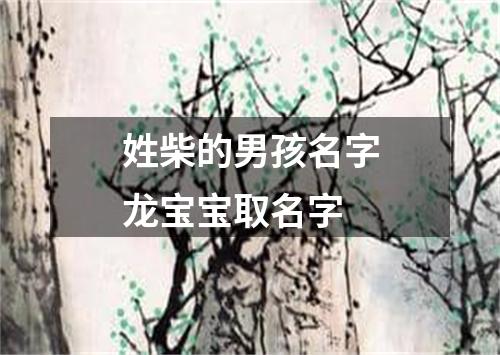 姓柴的男孩名字龙宝宝取名字