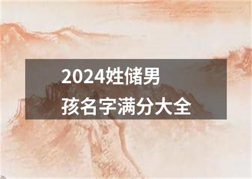 2024姓储男孩名字满分大全