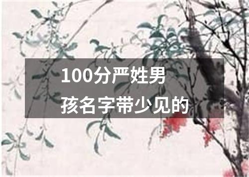 100分严姓男孩名字带少见的