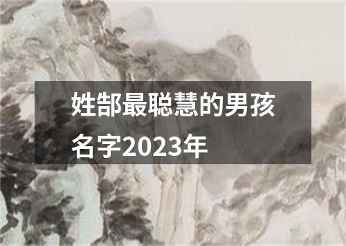 姓郜最聪慧的男孩名字2023年