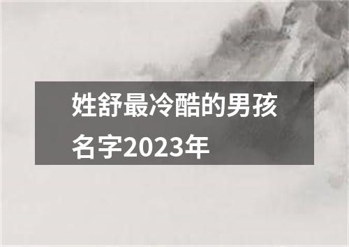 姓舒最冷酷的男孩名字2023年