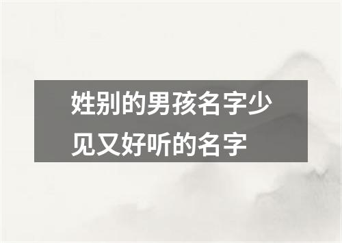 姓别的男孩名字少见又好听的名字