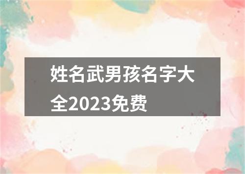 姓名武男孩名字大全2023免费