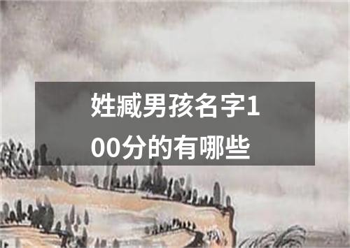 姓臧男孩名字100分的有哪些