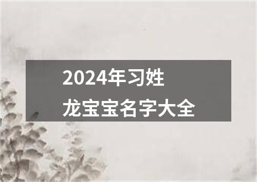 2024年习姓龙宝宝名字大全