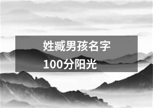 姓臧男孩名字100分阳光