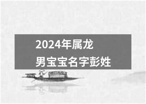 2024年属龙男宝宝名字彭姓