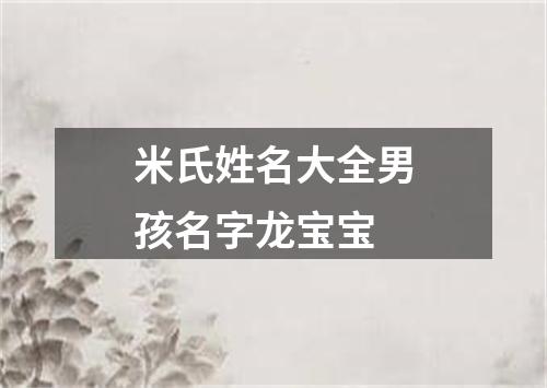 米氏姓名大全男孩名字龙宝宝