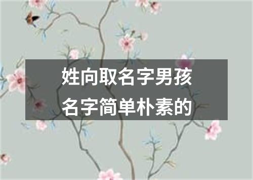 姓向取名字男孩名字简单朴素的