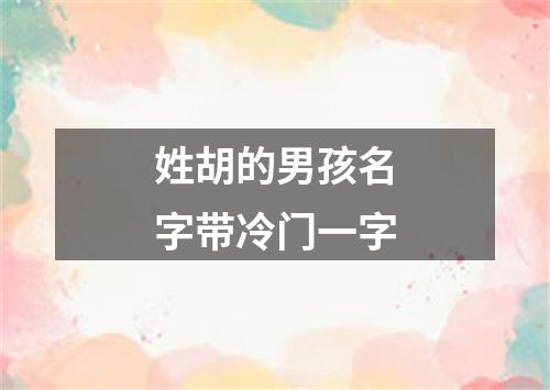 姓胡的男孩名字带冷门一字