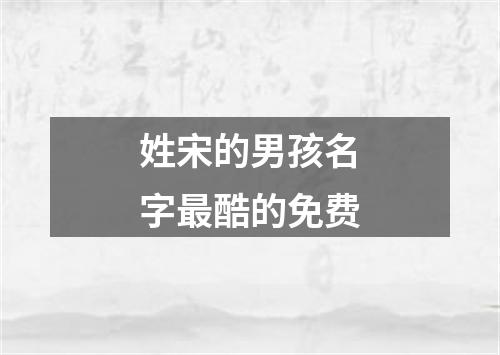 姓宋的男孩名字最酷的免费