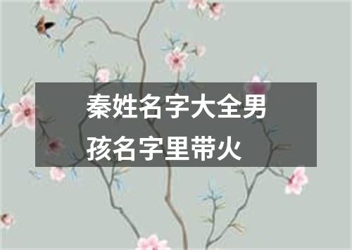 秦姓名字大全男孩名字里带火