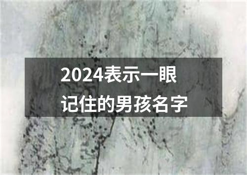 2024表示一眼记住的男孩名字