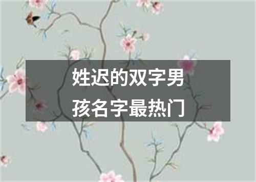 姓迟的双字男孩名字最热门