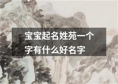 宝宝起名姓苑一个字有什么好名字