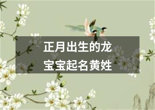 正月出生的龙宝宝起名黄姓